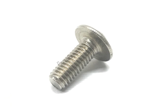 aprilia AP8152246 screw w/ flange m6x16 - Upper side