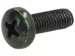 Here you can order the screw from Piaggio Group, with part number 435295: