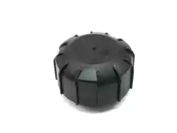 Here you can order the tapon dpsto. Expansor gp130 from Piaggio Group, with part number 861158: