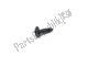 Self tapping screw d4.2x16 Aprilia CM178601