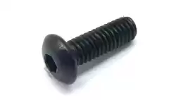 Here you can order the screw from Piaggio Group, with part number 581957: