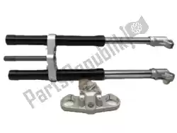 Here you can order the front fork from Piaggio Group, with part number 2B004337: