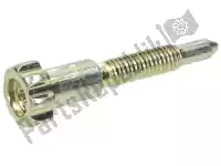 828074, Piaggio Group, Gas valve adjuster screw     , New