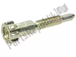 Here you can order the gas valve adjuster screw from Piaggio Group, with part number 828074: