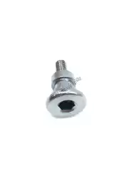 Here you can order the bolt, change pivot from Honda, with part number 90113MCF000: