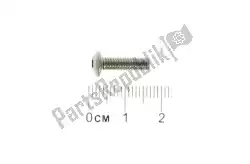 Here you can order the screw m4x14 from Piaggio Group, with part number AP8121184: