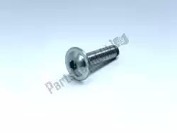 Here you can order the screw from Ducati, with part number 77440131A: