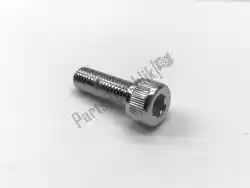 Here you can order the bolt from Suzuki, with part number 0713008257: