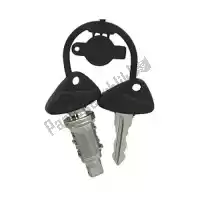 51252313284, BMW, lock cylinder with key bmw   650 850 1100 1150 1200 1992 1993 1994 1995 1996 1997 1998 1999 2000 2001 2002 2003 2004 2005 2006 2007 2008 2009 2010 2011 2012 2013 2014 2015 2016, New