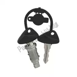Here you can order the lock cylinder with key from BMW, with part number 51252313284: