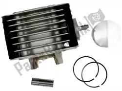 Here you can order the cylinder set from Piaggio, with part number 430208: