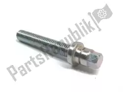 Here you can order the adjusting screw from Ducati, with part number 77915451B: