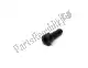 Tornillo hexagonal m5x16 Piaggio Group AP8150050