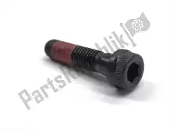 Here you can order the screw from Ducati, with part number 77113851A: