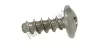 AP8150509, Piaggio Group, self-tap screw 5x14     , New