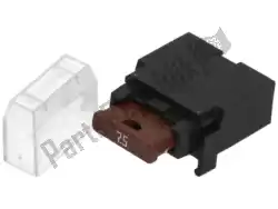 Here you can order the fuse holder from Piaggio Group, with part number 290402: