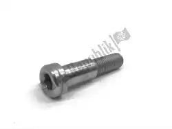 Here you can order the bolt, shouldered, m10x1. 25x53. 1 from Triumph, with part number T3330867: