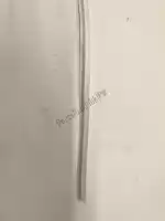 43813671A, Ducati, witte strook ducati  999 2003, Nieuw