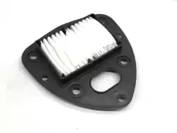 Here you can order the filter,air clea from Suzuki, with part number 1378039G20: