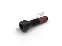 77116651A, Ducati, screw tceif m8x25, left thread ducati  monster streetfighter 659 696 795 796 848 1100 2012 2013 2014 2015, New