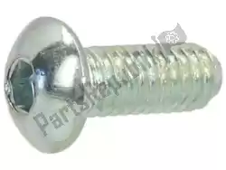 Here you can order the screw from Piaggio Group, with part number 621914: