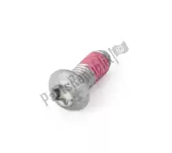 Here you can order the oval head screw from BMW, with part number 34117713039: