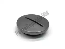 Here you can order the plug, straight screw(2wk) from Yamaha, with part number 903403612100: