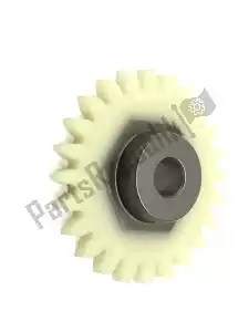 Piaggio Group 1A008736 ingranaggio comando pompa h2o apr rs 125 21 - Il fondo