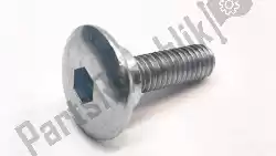 Here you can order the bolt, but/hd, m6x1. 0x21, shld, slv from Triumph, with part number T3330848: