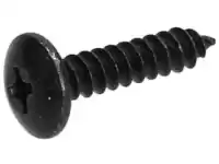 258249, Piaggio Group, screw     , New