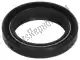 Fork oil seal Piaggio Group 601310