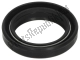 Paraolio forcella Aprilia 601310