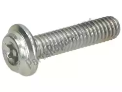 Here you can order the screw from Piaggio Group, with part number 830487: