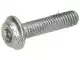 Screw Piaggio Group 830487