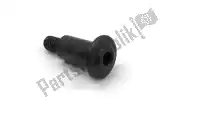 77916951AA, Ducati, special screw ducati  panigale sbk 899 1199 2012 2013 2014 2015, New