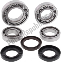 252099, ALL Balls, Differential bearing and seal kit, New