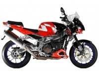 Todas as peças originais e de reposição para seu Aprilia RSV Tuono Factory 3985 1000 2006 - 2009.