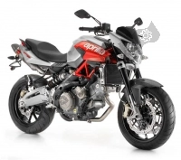 Aprilia Shiver 2010 - 2013 vistas explodidas