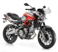 All original and replacement parts for your Aprilia Shiver 750 2010 - 2013.