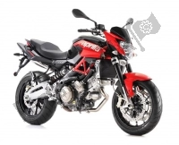 All original and replacement parts for your Aprilia Shiver 750 2011 - 2013.