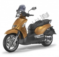 Tutte le parti originali e di ricambio per il tuo Aprilia Scarabeo 125 2004 - 2006.