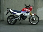 Aprilia Tuareg 50 Wind  - 1990 | Alle onderdelen