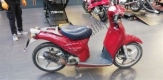 Tutte le parti originali e di ricambio per il tuo Aprilia Scarabeo 507 1993 - 1997.