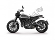 Wszystkie oryginalne i zamienne części do Twojego Ducati Scrambler 800 2017.