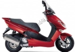 Aprilia Leonardo 250  - 2001 | Alle Teile