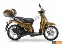 Todas as peças originais e de reposição para seu Aprilia Scarabeo 100 4T E3 2010.