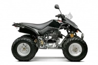 Wszystkie oryginalne i zamienne części do Twojego Derbi DXR 250 CC 2004.