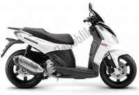 All original and replacement parts for your Derbi Rambla 300 E3 2010.