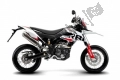 Todas as peças originais e de reposição para seu Derbi Senda 125 SM DRD Motard 2013.