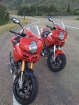 Ducati Multistrada 1000 DS - 2004 | All parts